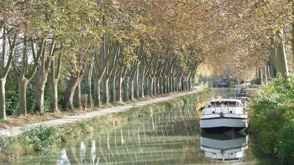 Les Gardenias Bed & Breakfast Toulouse Dış mekan fotoğraf